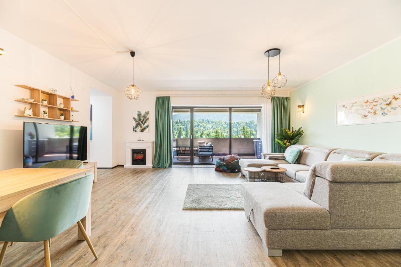 Fabulous Panorama Silver Mountain Apartments 포이아나브라소프 외부 사진
