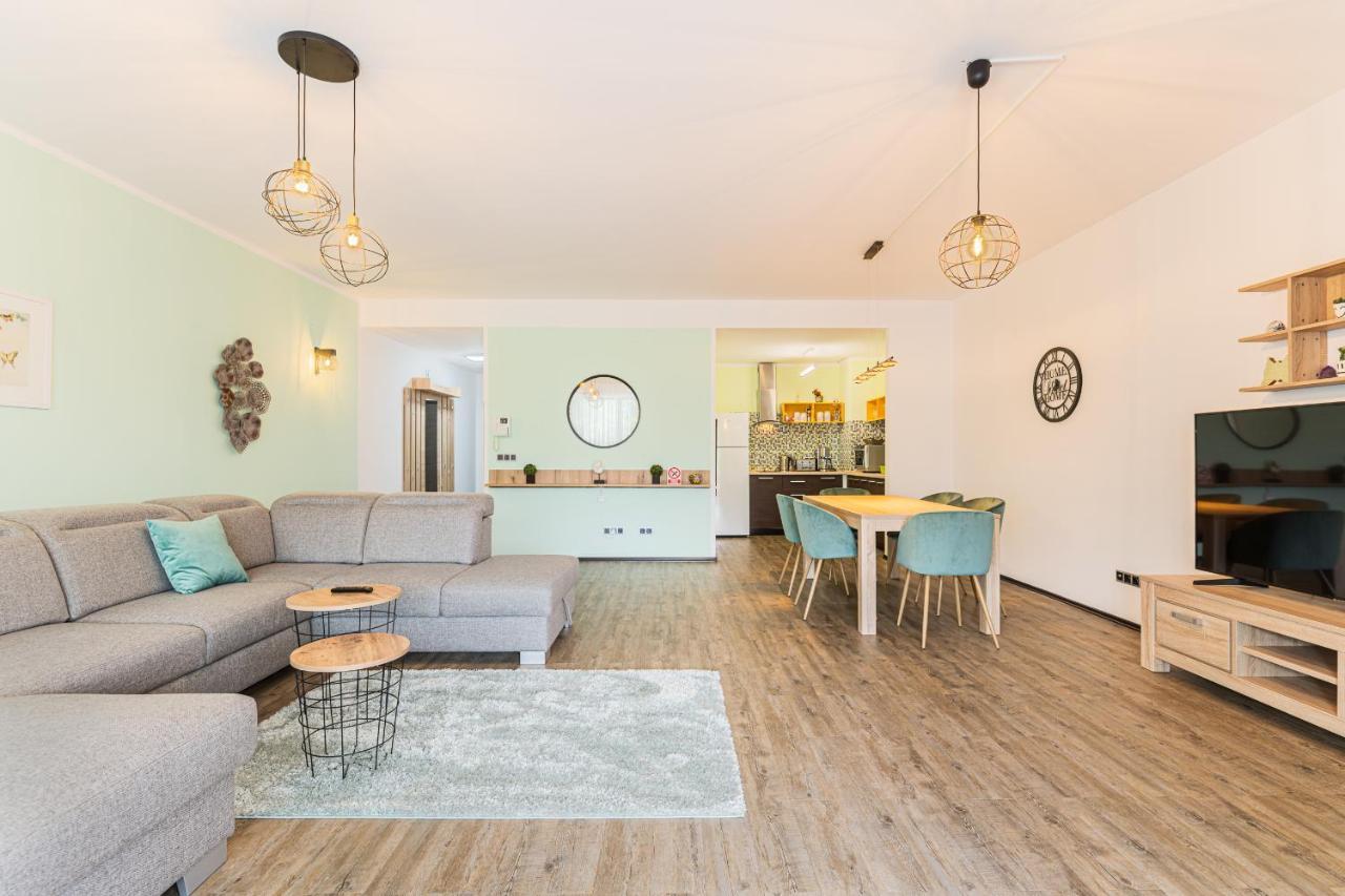 Fabulous Panorama Silver Mountain Apartments 포이아나브라소프 외부 사진