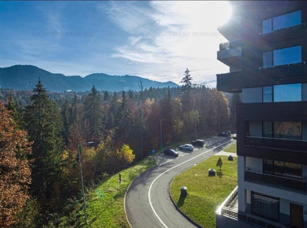 Fabulous Panorama Silver Mountain Apartments 포이아나브라소프 외부 사진