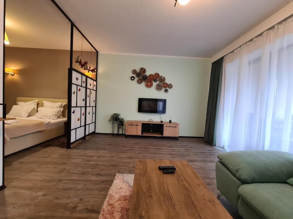 Fabulous Panorama Silver Mountain Apartments 포이아나브라소프 외부 사진