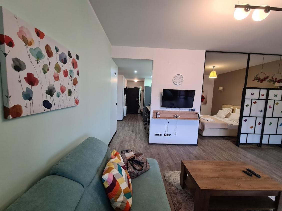 Fabulous Panorama Silver Mountain Apartments 포이아나브라소프 외부 사진