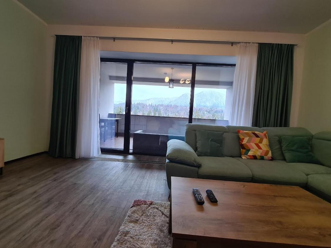 Fabulous Panorama Silver Mountain Apartments 포이아나브라소프 외부 사진