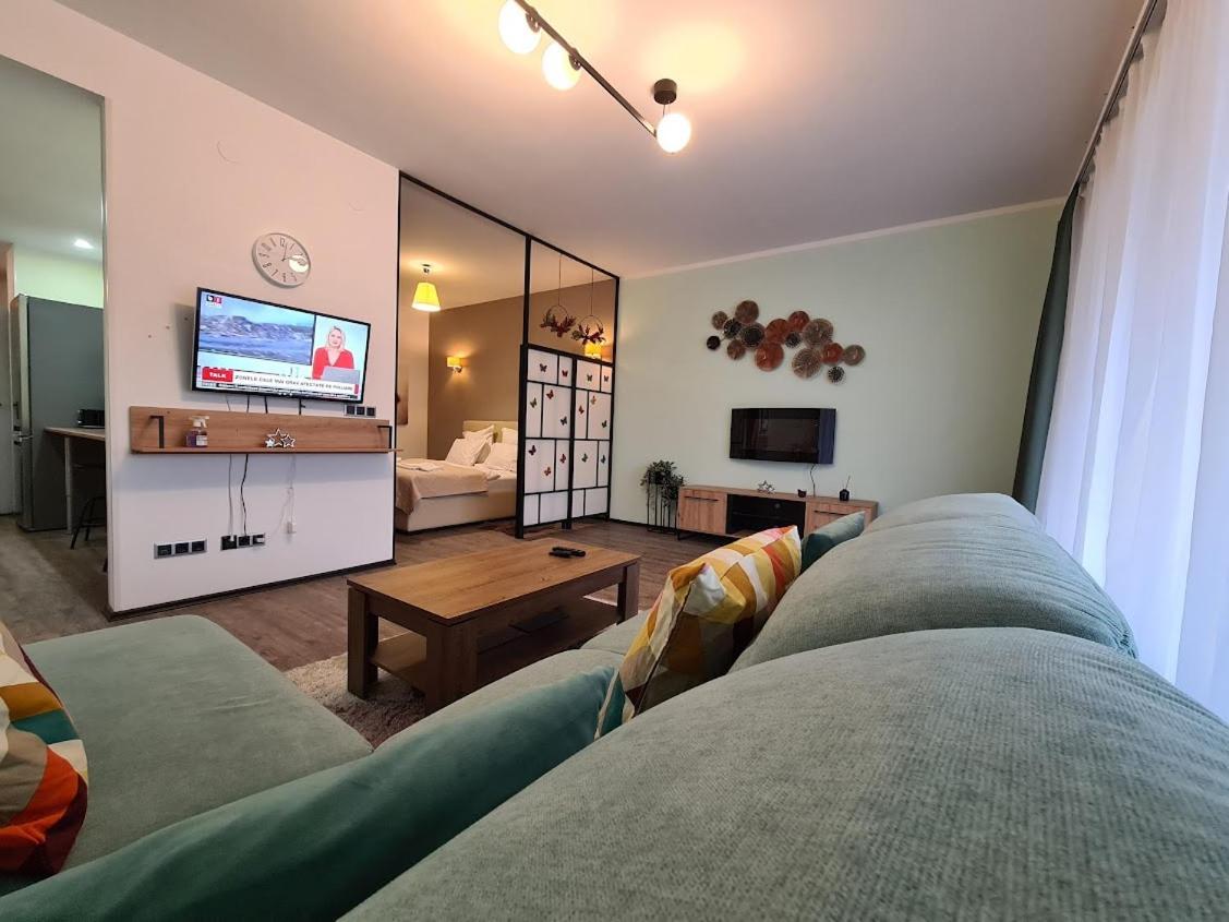 Fabulous Panorama Silver Mountain Apartments 포이아나브라소프 외부 사진