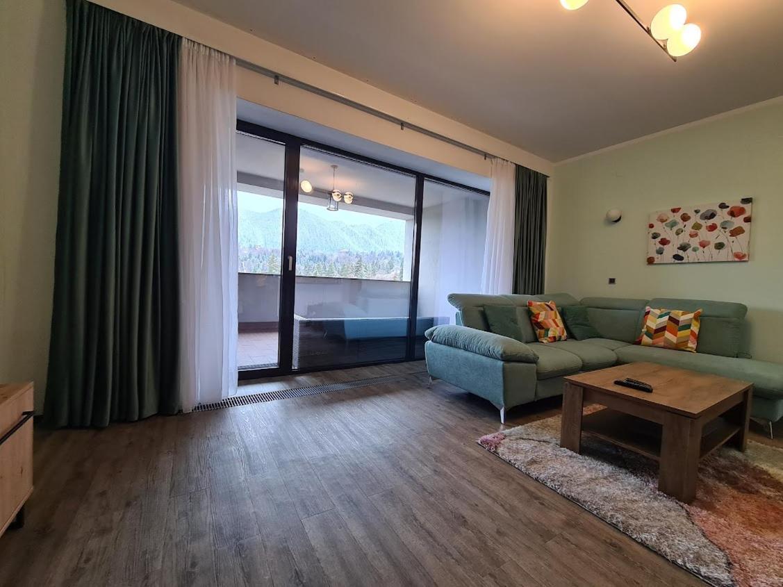 Fabulous Panorama Silver Mountain Apartments 포이아나브라소프 외부 사진