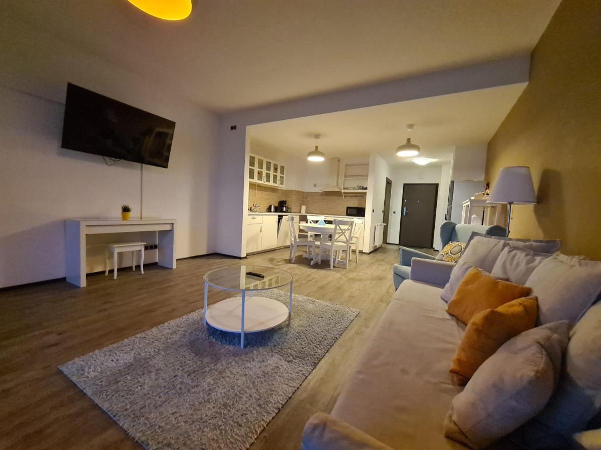 Fabulous Panorama Silver Mountain Apartments 포이아나브라소프 외부 사진