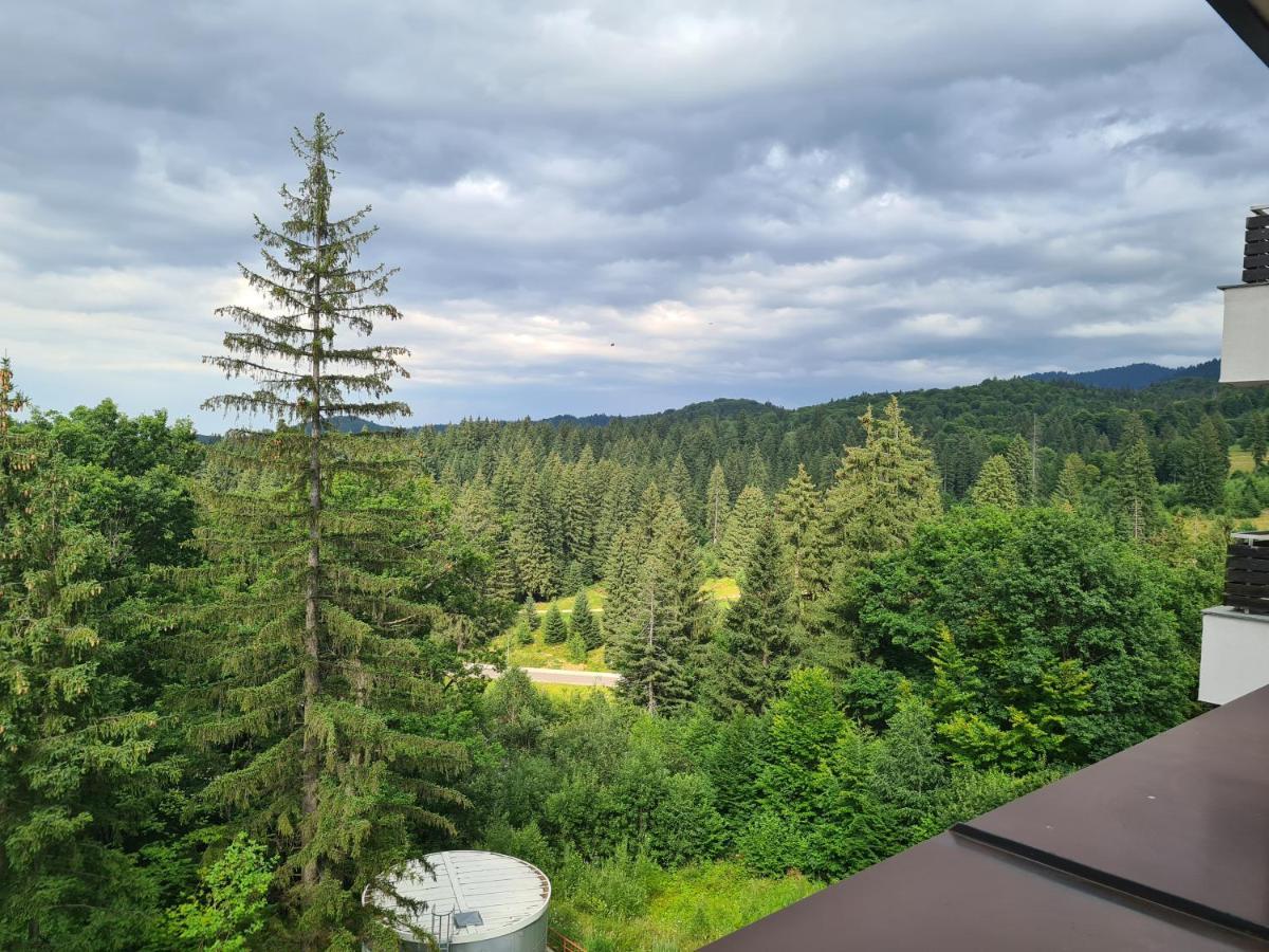 Fabulous Panorama Silver Mountain Apartments 포이아나브라소프 외부 사진