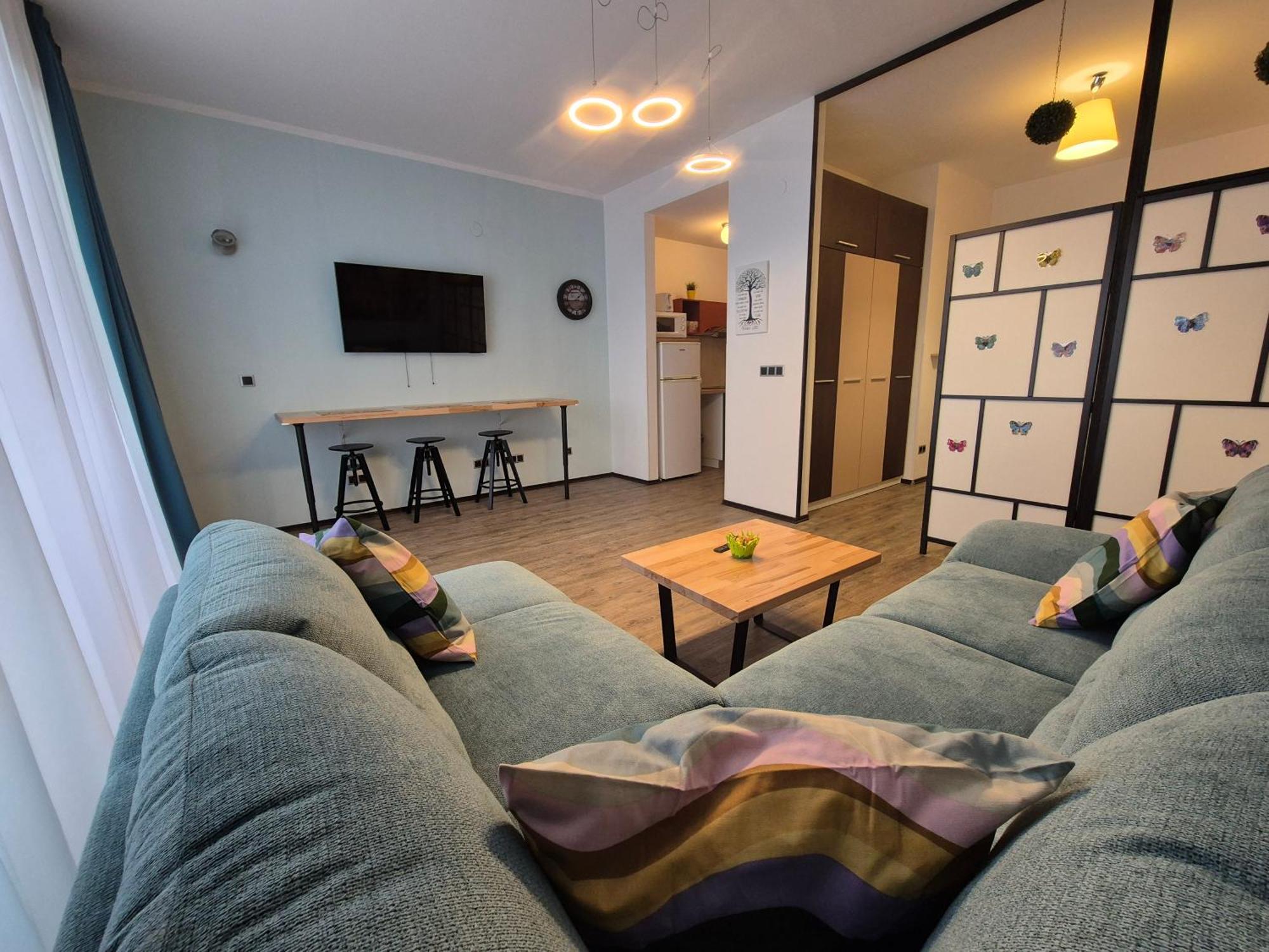 Fabulous Panorama Silver Mountain Apartments 포이아나브라소프 객실 사진