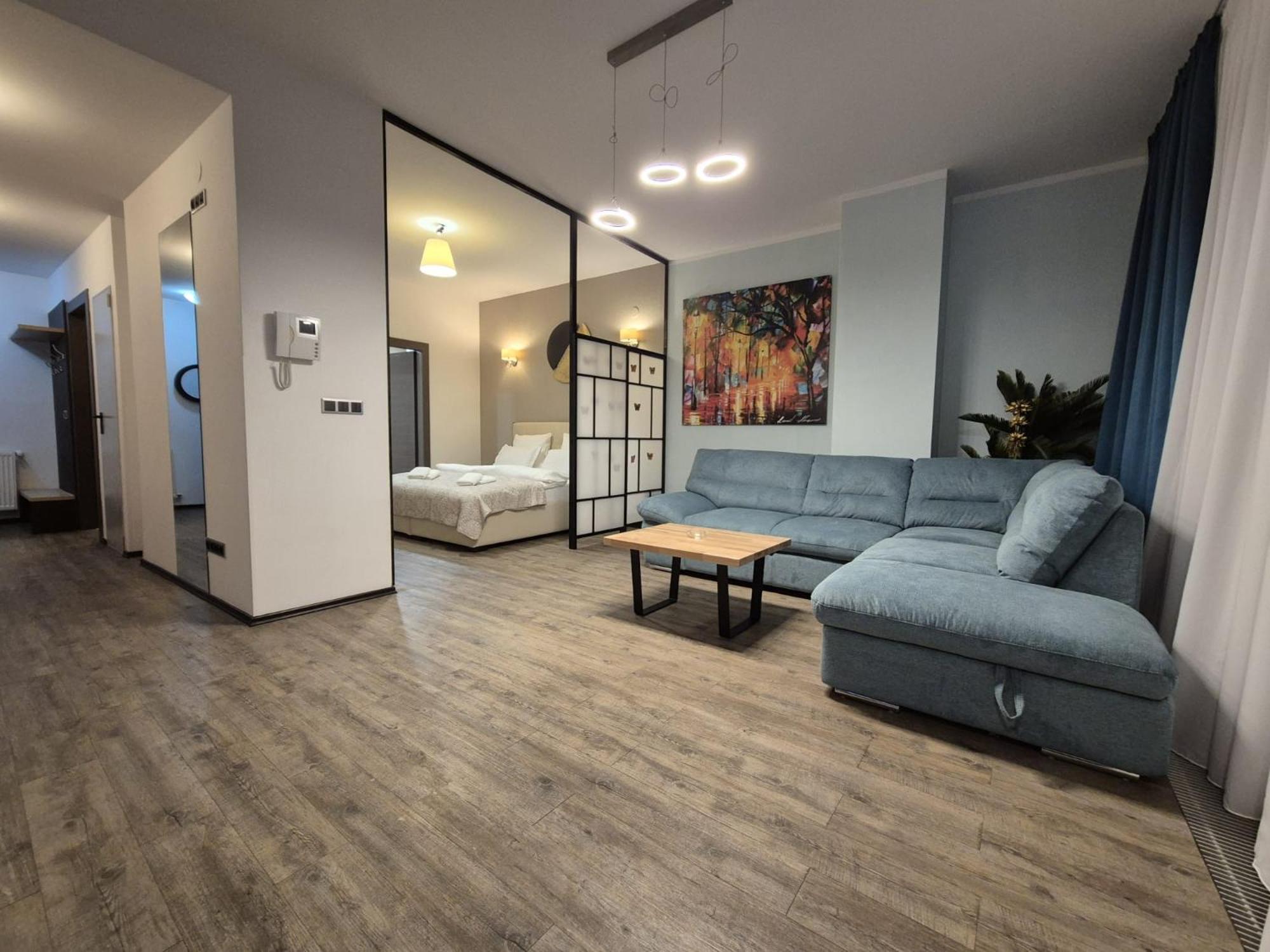 Fabulous Panorama Silver Mountain Apartments 포이아나브라소프 객실 사진